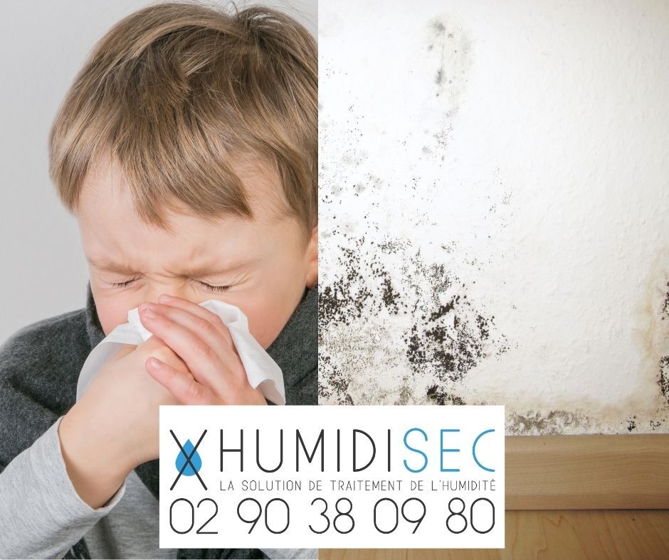 Humidité santé Humidisec Vannes