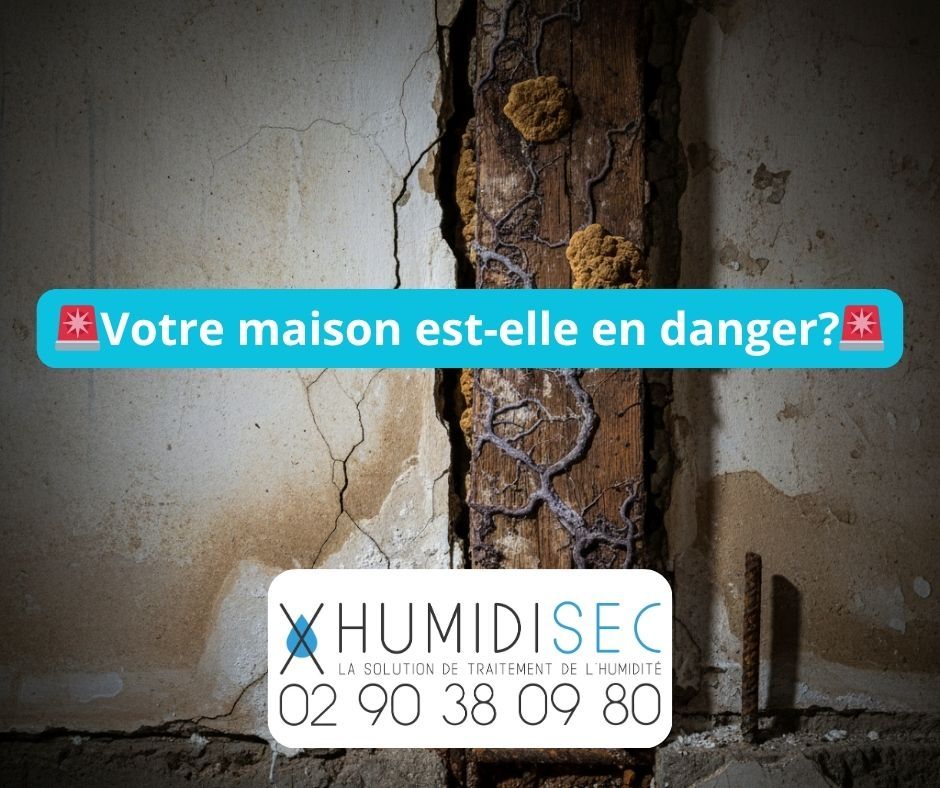 Risques Humidité Batiment Humidisec